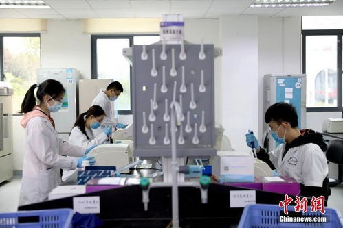 打卡介苗能否減少新冠肺炎感染風(fēng)險(xiǎn)？專家回應(yīng)與技術(shù)開(kāi)發(fā)進(jìn)展